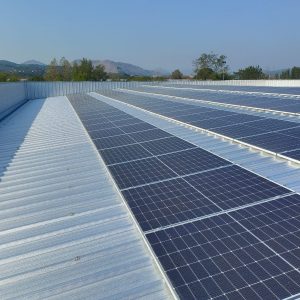 WhatsApp Image 2023-10-15 at 13.05.07